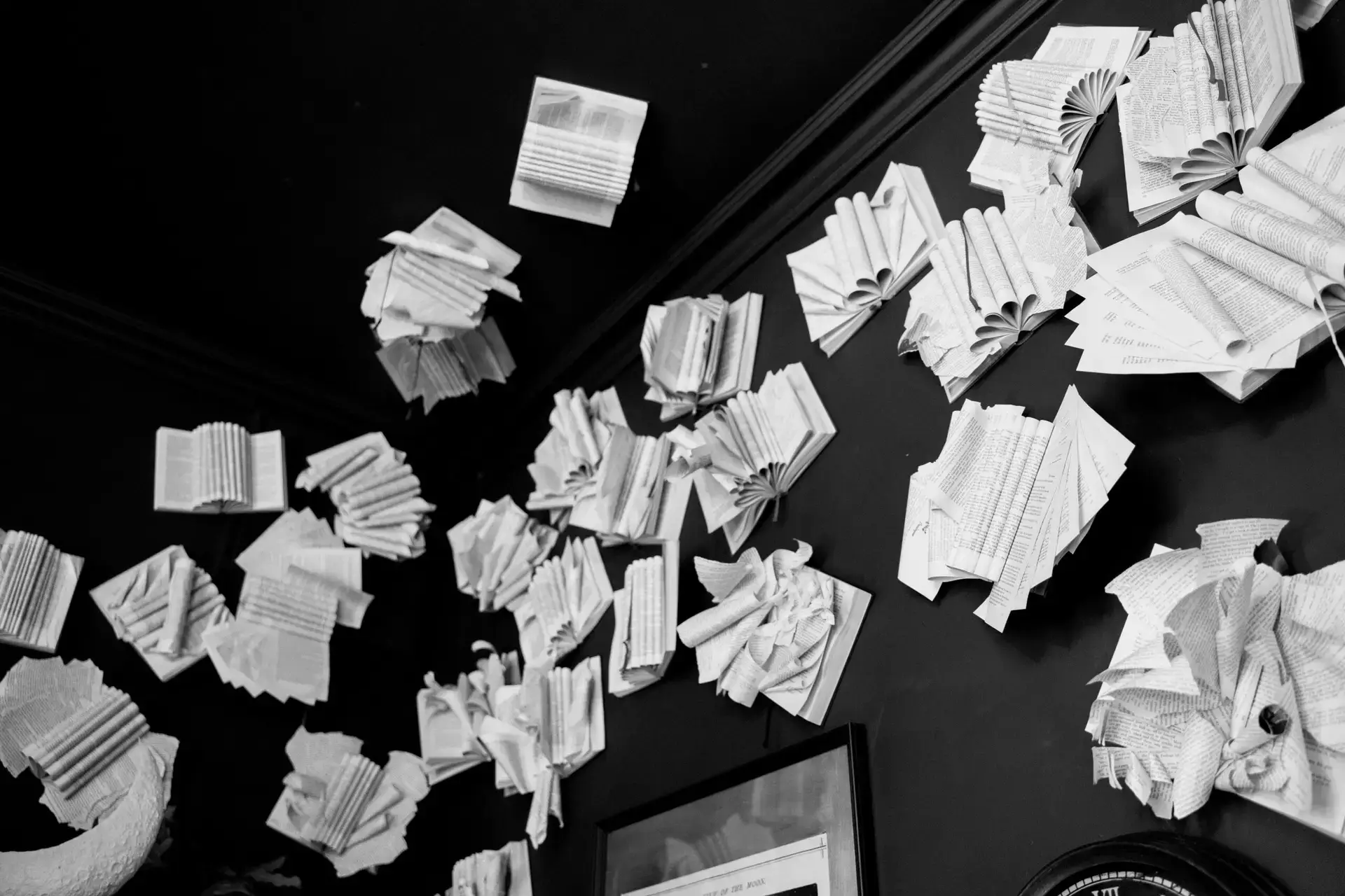 The Bubbling Toad Stories - books on wall of Lunary Library